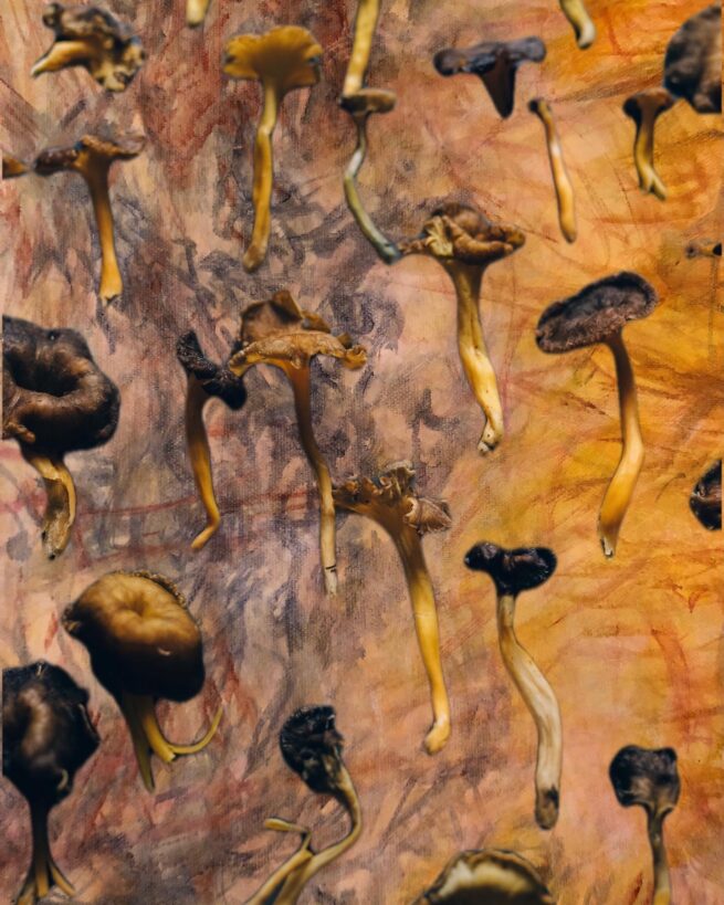 Raining Shrooms